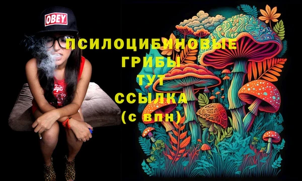 герыч Богородицк