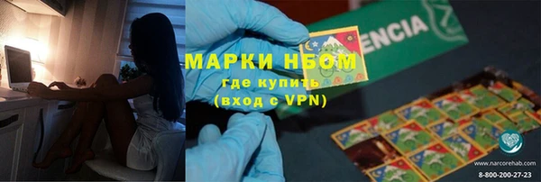 дмт Богданович