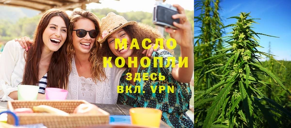дмт Богданович