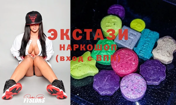 дмт Богданович