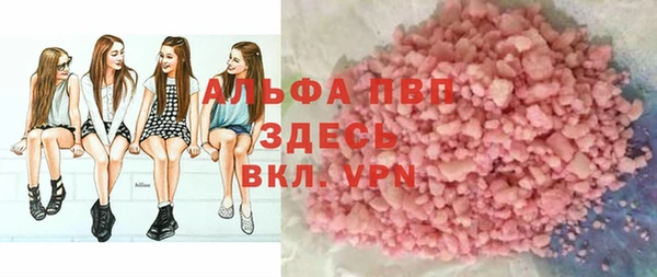 дмт Богданович