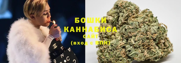 дмт Богданович