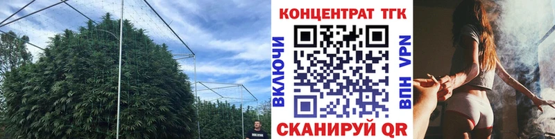 Купить  Сковородино  ТГК вейп 